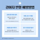 진안동물병원 이미지