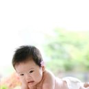 똥깡아지 이미지