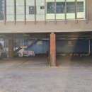 감포생밀복 이미지