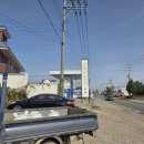 수노을주유소 | [경기 화성 송산면 카페] 식물이 가득한 힐링 공간, '카페포트' (CAFE POT) 방문 후기