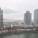 반성건재 | ​석촌호수 벚꽃이 한눈에! 랑데자뷰 월드타워점 방문기 & 롯데시네마 알찬 활용팁