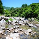 계곡속의동화 이미지