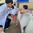 렛츠런파크 부산경남 이미지