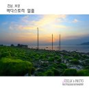 보성바다스토리리조트 이미지