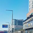 스타펫미팅 | 수원 스타필드 가오픈 별마당 도서관 입점 주차 펫파크 방문 후기