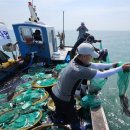 진도수산 이미지