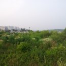 풍동농장 이미지