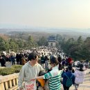 [16주과정]중국여행회화 | [중국 여행] 두번째 방문 난징(2026)