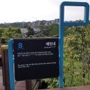 제주 올레길 8코스 이미지