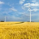 왕골목장 이미지