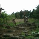 샤론의꽃 이미지