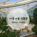 서울 실내가볼만한곳 추천 서울 식물원 관람 후기, +주차꿀팁