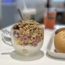 제니아빈 이미지