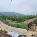 이담공인중개사사무소 이미지