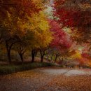 기념관&박물관길 이미지