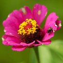 반계초등학교 이미지