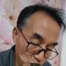 간식추천 영광모시송편 다송떡집에서 주문했어요