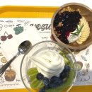 압구정요거트 맛집 요고프로즌요거트 압구정로데오점