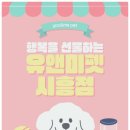 서울고양이분양 묘연 | 서울 랙돌 고양이 분양 후기— 부드러운 털과 푸른 눈을 가진 서울 랙돌 고양이