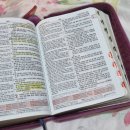 보라도서관 | 도서관프로그램 멜번 도서관 무료 만들기 수업 후기 예약만 하면 누구나 가능한 알찬 초등방학