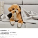 더포레스트 - 양평군 북한강로 1284 | 더포레스트