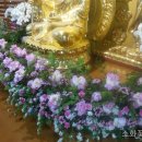 소화꽃예술