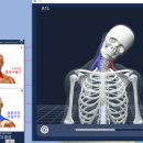 ROYFIT(로이핏) 이미지