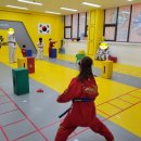 용인대 아름태권도 이미지