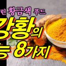 신이내린 황금색 푸드 깅황 효능 8가지 이미지