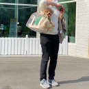 와바(포켓 전용) | 원오브어스 클리어백 / 강아지가방 투명가방으로 애견카페 다녀온 후기