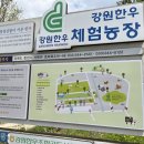 춘천 해피초원목장 : 귀여운 동물들과 호수품은 경치의 포토존이 있는 한국의 스위스