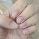 쉬네일 | [교동/행궁동] 수원 가성비 이달의아트 전문점 쉬네일 후기