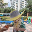 과일사요야채사요 - 북구 효열로 221 | 과일사요야채사요