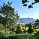 진산골프연습장 이미지