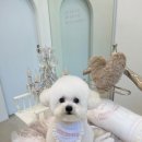 뽀드득 블랑스파 이미지