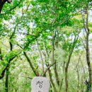 948차 정기산행 청옥산 육백마지기(1,200m/강원 평창) 이미지