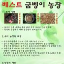 학온동 주민센터 | 광명시 청소년수련관 진로강의 후기 베스트굼벵이 농장