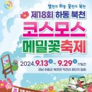 하동북천코스모스메밀꽃 영농조합법인 이미지