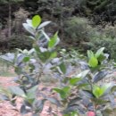 미소농장 이미지