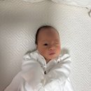 마미캠프 산후조리원 | 대연 마미캠프 산후조리원,2주 솔직후기