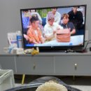 레인보우캐슬리조트 이미지