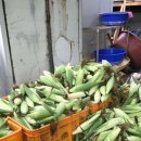 양주초록지기정보화마을 이미지