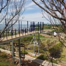 오차드 123 이미지