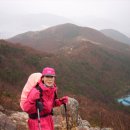 능걸산-염수봉 산행후기(2009.2.22.날씨:비) 이미지