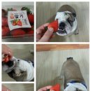 빠리빠리 이미지