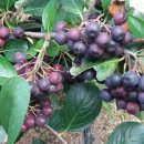 새뜸농장 이미지