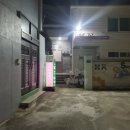 제주게스트하우스봄꽃 이미지