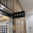 이용철동물병원 | &lt;고양일산&gt;양심있게 진료해주시는 동물한방병원 이용철동물병원추천