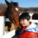 큰마음목장 이미지