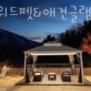 캠프위드펫&애견글램핑 네이버블로그